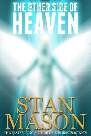 Book cover of The Other Side of Heaven