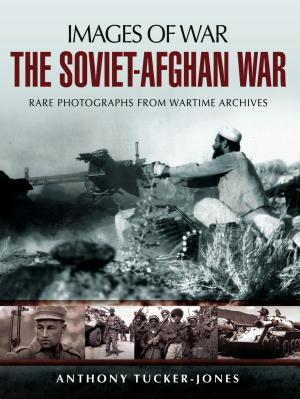 bigCover of the book The Soviet-Afghan War by 