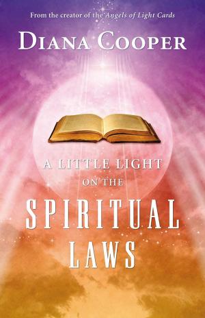 Cover of the book A Little Light on the Spiritual Laws by Denise Wimmian