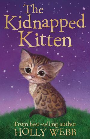Book cover of The Kidnapped Kitten
