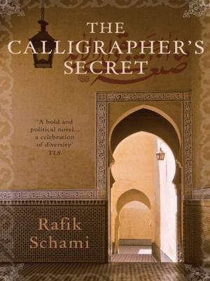 Book cover of Calligraphers Secret