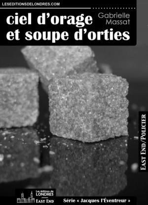 bigCover of the book Ciel d'orage et soupe d'orties by 