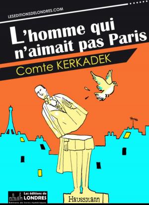 Cover of the book L'homme qui n'aimait pas Paris by Jonathan Swift