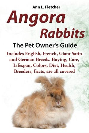 Cover of the book Angora Rabbits, The Pet Owner’s Guide, Includes English, French, Giant, Satin and German Breeds. Buying, Care, Lifespan, Colors, Diet, Health, Breeders, Facts, are all covered by Rose Sullivan