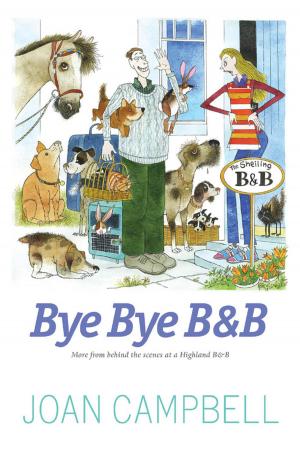 Book cover of Bye, Bye B&B