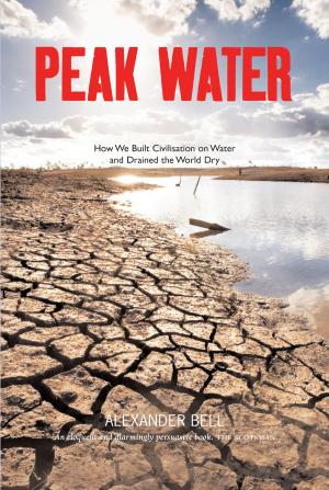 Cover of the book Peak Water by Paul Ribbons