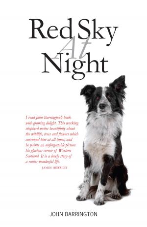 Cover of the book Red Sky at Night by McHaffie, Hazel