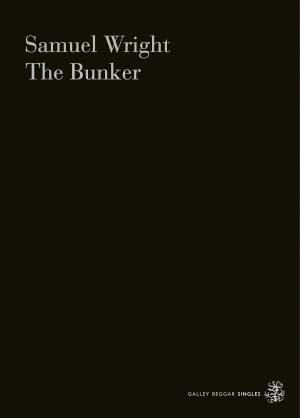 Cover of the book The Bunker by Alex Pheby