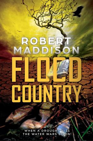 Cover of the book Flood Country by Mark Kelly