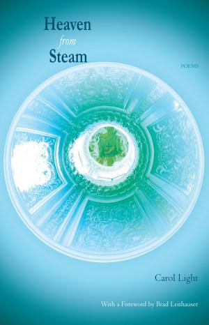 bigCover of the book Heaven from Steam - Poems by 
