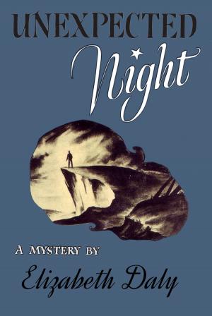 Book cover of Unexpected Night