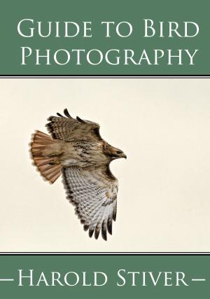 Book cover of Guide to Photographing Birds