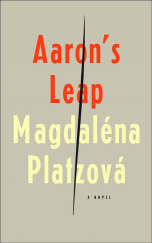 Cover of the book Aaron's Leap by Magdaléna Platzová