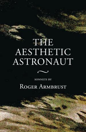 Cover of the book The Aesthetic Astronaut by George Pappas
