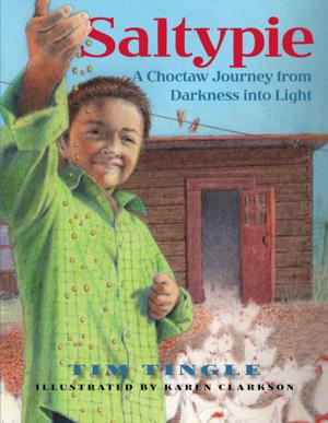Cover of the book Saltypie by J.L. Powers