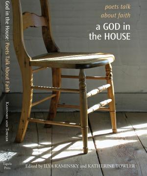 Cover of the book A God in the House by Richard J Chalmers