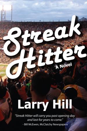 Cover of the book Streak Hitter by Laura Elvebak