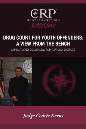 Cover of the book Drug Court for Young Offenders: A View from the Bench by Frances Simone