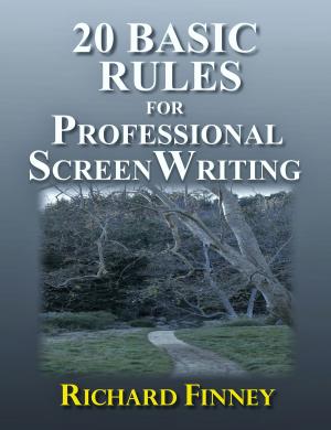 Book cover of 20 Basic Rules for Professional Screenwriting