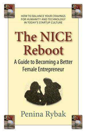 Cover of the book The NICE Reboot by Rich Maltzman, Jim Stewart