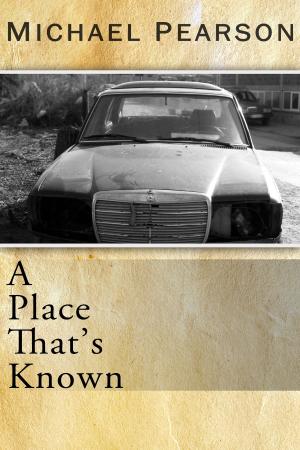 Cover of the book A Place That's Known by Jac Jemc