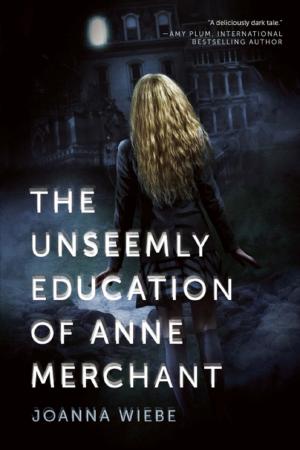 Cover of the book The Unseemly Education of Anne Merchant by Bob Halloran