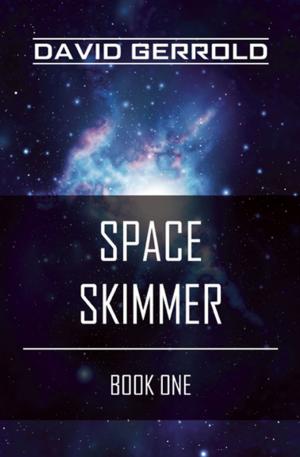 Cover of the book Space Skimmer by Paskal Rainville