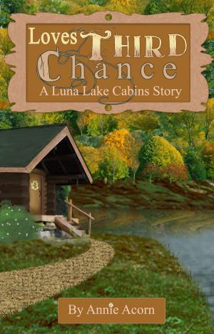 Cover of the book Love's Third Chance by Annie Acorn, Charlotte Kent, Juliette Hill