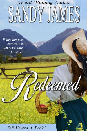 Cover of the book Redeemed (Safe Havens 3) by Olivia Waite