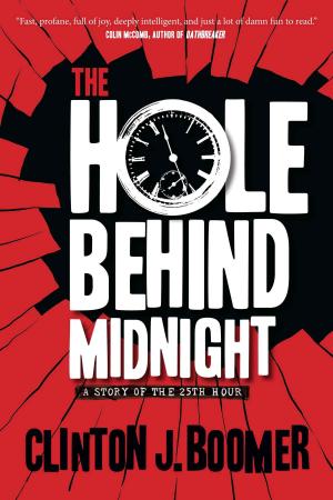 Cover of the book The Hole Behind Midnight by Christine Palmer
