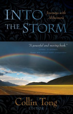 Cover of the book Into the Storm by Dr. Jordan Paul