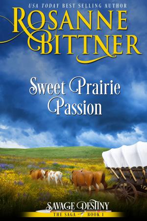 Cover of the book Sweet Prairie Passion by Alex Dolan