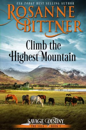 Cover of the book Climb the Highest Mountain by Raine Cantrell