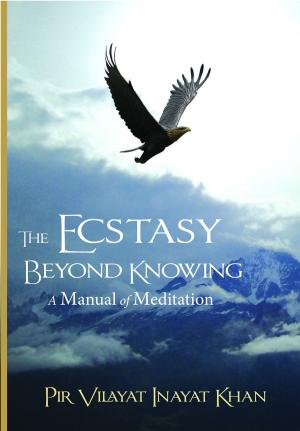Cover of the book The Ecstasy Beyond Knowing by Dr. Ronald Grisell