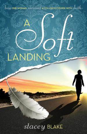 Book cover of A Soft Landing