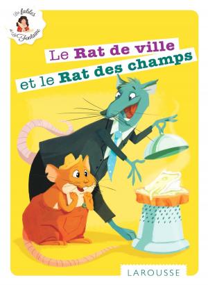 Book cover of Le Rat de ville et le Rat des champs