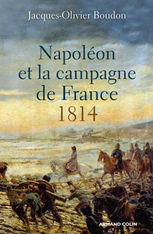 Cover of the book Napoléon et la campagne de France by Sébastien Bailly