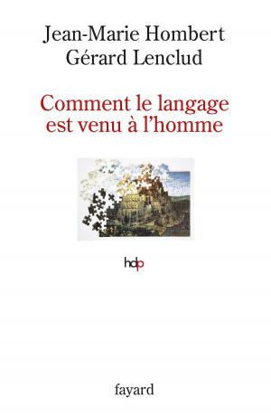 Cover of the book Comment le langage est venu à l'homme by Claude Allègre