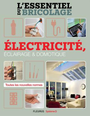 Cover of the book Électricité, Éclairage et Domotique (L'essentiel du bricolage) by Brigitte Coppin