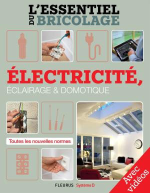 Cover of the book Électricité, Éclairage et Domotique - Avec vidéos by Christine Sagnier