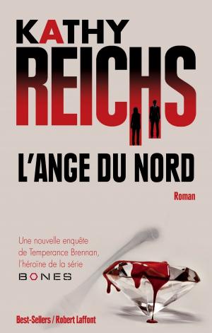 Cover of the book L'Ange du nord by Hubert PROLONGEAU