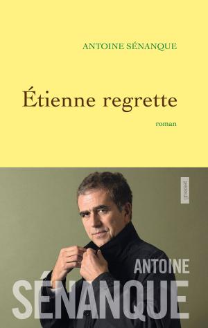 Cover of the book Etienne regrette by Dominique Fernandez de l'Académie Française