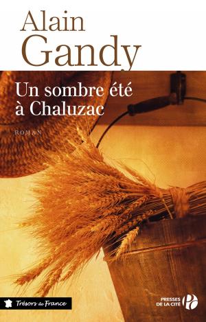 Cover of the book Un sombre été à Chaluzac by Boris AKOUNINE