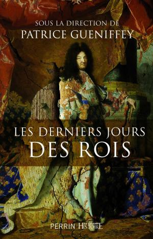 Cover of the book Les derniers jours des rois by Charity NORMAN