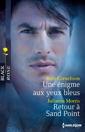 Book cover of Une énigme aux yeux bleus - Retour à Sand Point