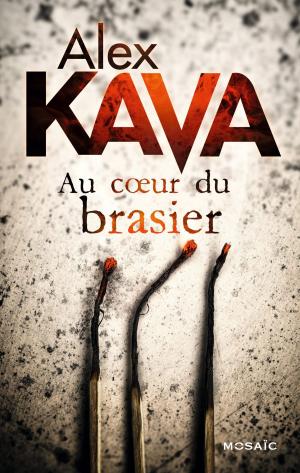 Cover of the book Au coeur du brasier by Christopher Harris