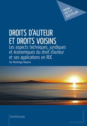 Cover of the book Droits d'auteur et droits voisins by Jean-Luc Lefèvre