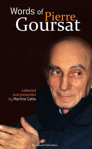 Cover of the book Words of Pierre Goursat by Pat Marrin
