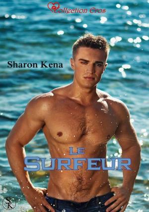 Cover of the book Le Surfeur by Pierrette Lavallée