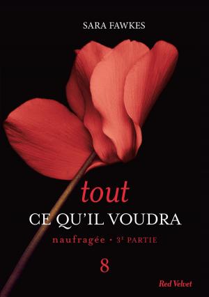 Cover of the book Tout ce qu'il voudra - Naufragée 3ème partie 8 by Jean-Charles Sommerard, Aude Maillard